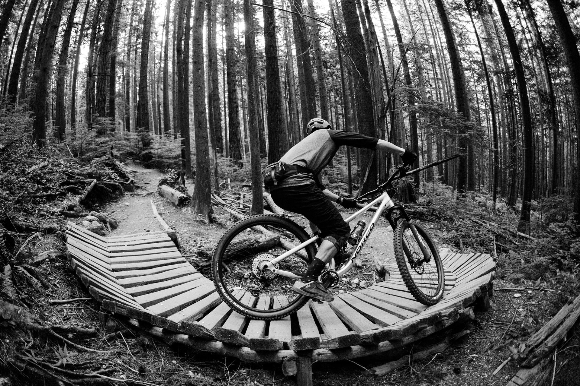 norco%20fluid%20fs%20-5.jpeg